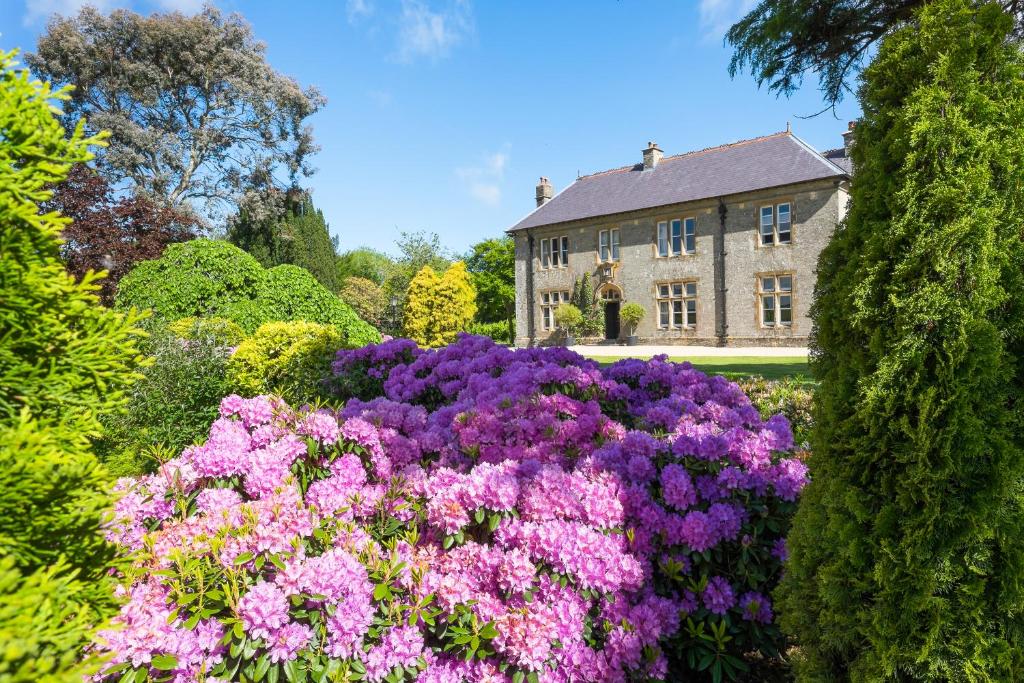 a garden with purple flowers in front of a house at Kentisbury Grange in Kentisbury