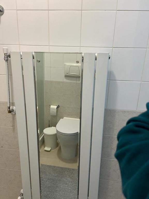 Koupelna v ubytování Apartment Tazzoli 11