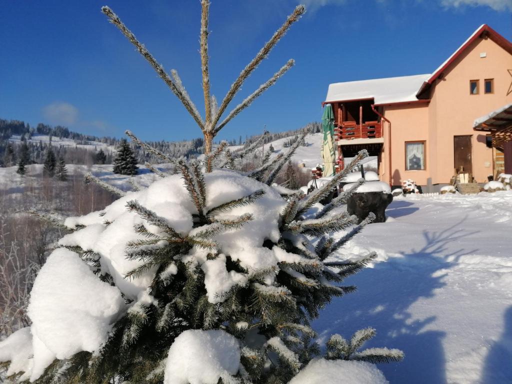 Fotografie z fotogalerie ubytování Cabana Gabriel Bucovina v destinaci Şaru Bucovinei