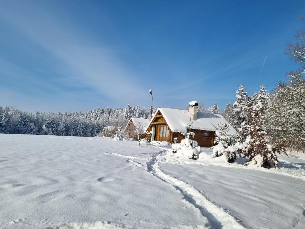 Chatky a apartmány Apollo na Vysočině v zimě