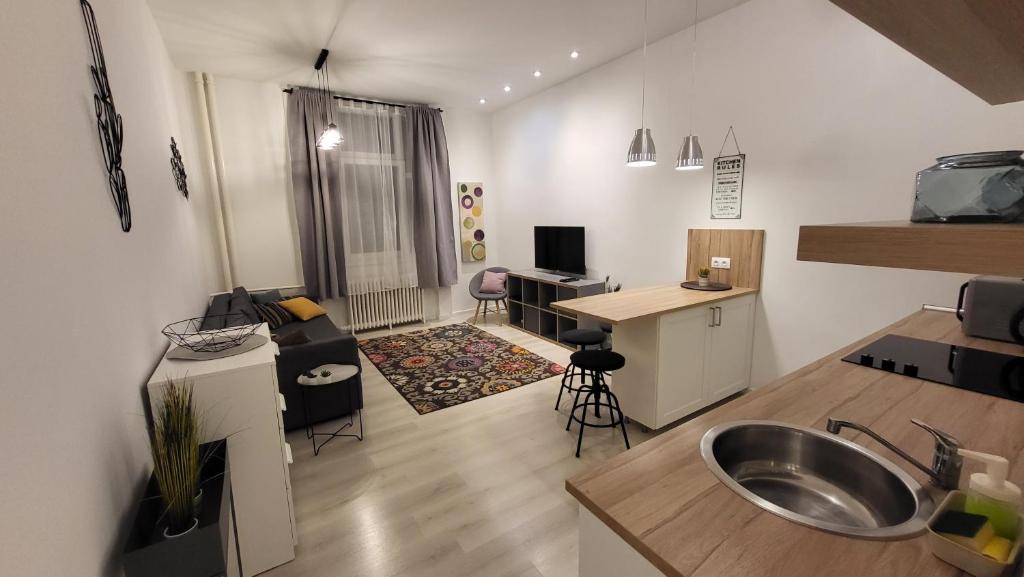 ブダペストにあるELLA Apartmentのキッチン、リビングルームが備わります。