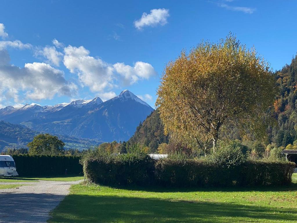 Unique Tiny Eco Lodges with gorgeous views to Jungfrau Massiv - Resim 32