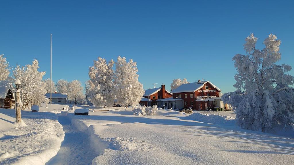 a street covered in snow with a house and trees at Hållandsgården in Järpen