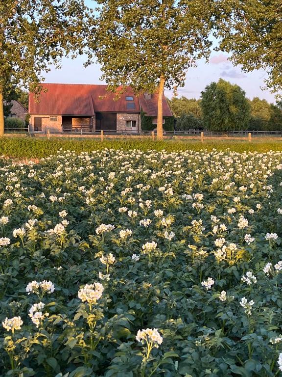 Zahrada ubytování Vakantiewoning - Ter Douve