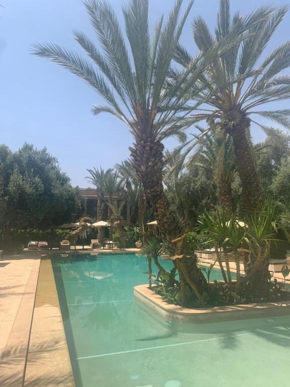 Riad le Jasmin – Photos 1
