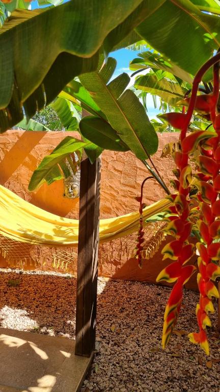a close up of a tree with a red flower at Free Soul House - Localização ideal no centrinho in Alto Paraíso de Goiás