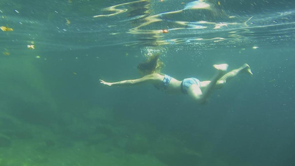 Hosté ubytování Baracca Backpacker