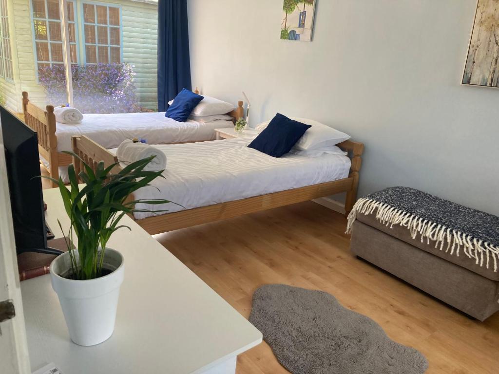 twee bedden in een kamer met een potplant bij Bluebelle in Bray