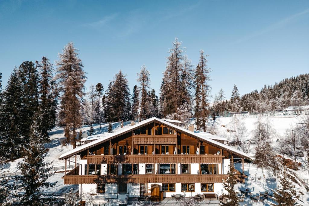 Příroda nedaleko hotelu