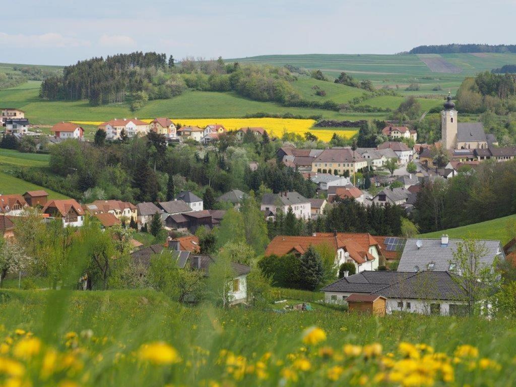 Příroda nedaleko apartmánu