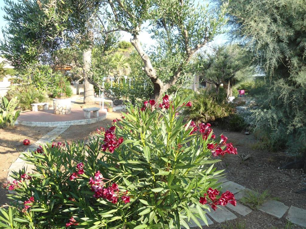 a garden with pink flowers in a yard at Ville Alba & Azzurra in Polignano a Mare
