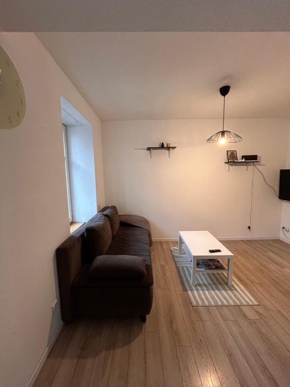 ein Wohnzimmer mit einem Sofa und einem Tisch in der Unterkunft # Le 1 # Très beau T3 Neuf rez-de-chaussée centre ville in Mulhouse