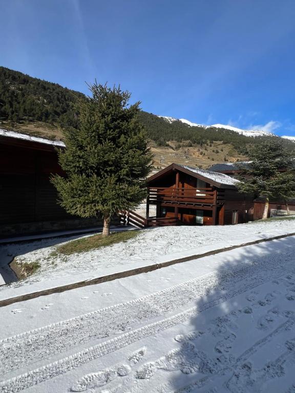 una casa en la nieve con un árbol delante en L'Oreneta, en Incles