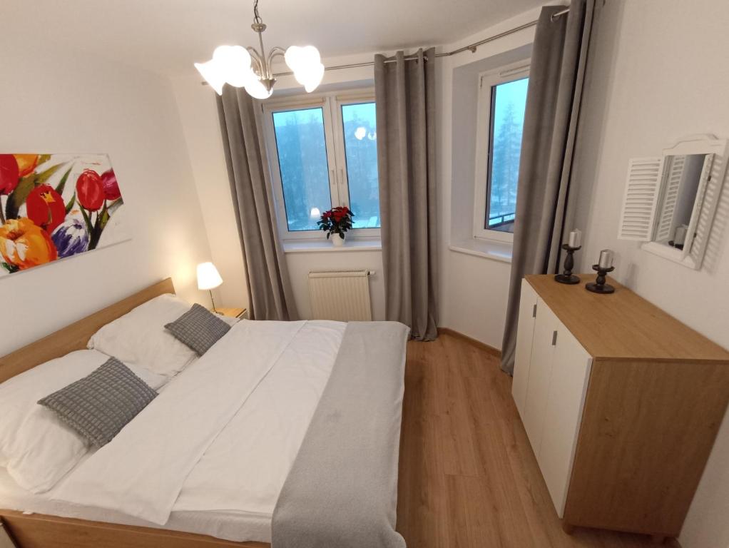 斯塞新的住宿－Grand Apartament - z miejscem parkingowym, niedaleko Stocznia Wulkan，一间卧室设有一张大床和两个窗户。
