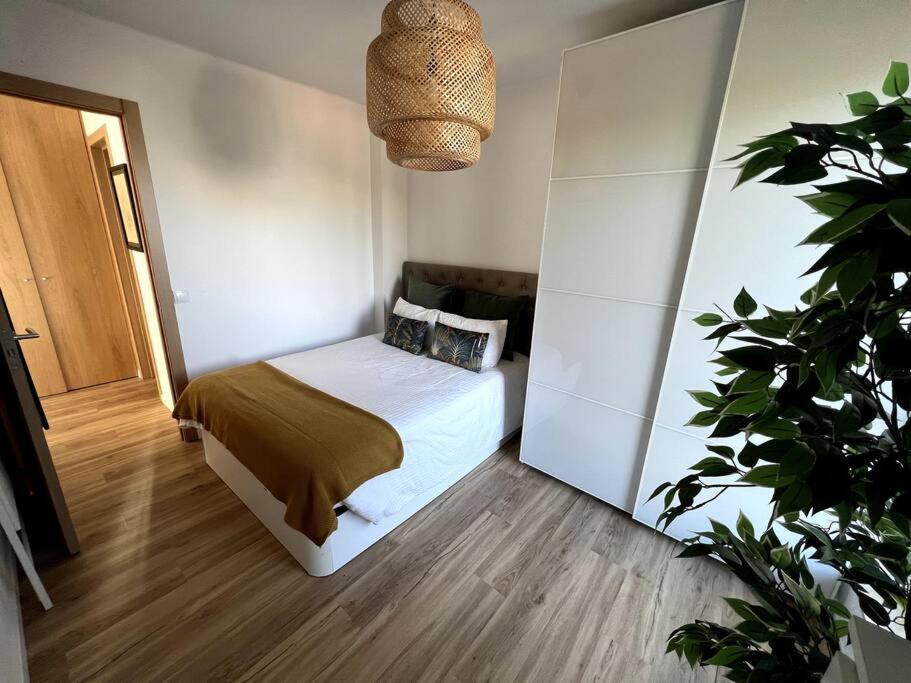 Penthouse Terraço de Coimbra - 8