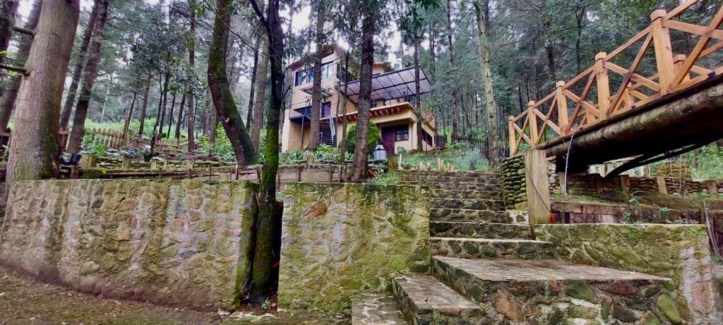 uma casa no meio de uma floresta com escadas em No reservas 