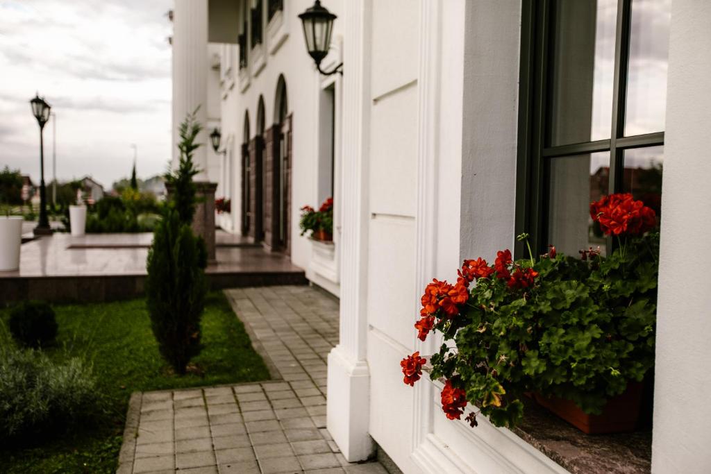Zahrada ubytování Apartments & rooms Beli Dvor