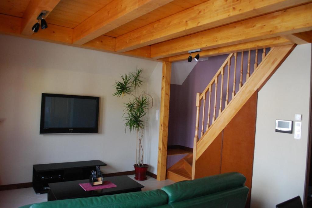 a living room with a green couch and a television at la grange in Wintzenheim