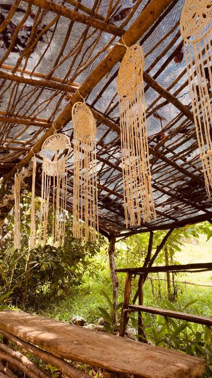 Fotografie z fotogalerie ubytování Efren EcoHotel v destinaci Calima