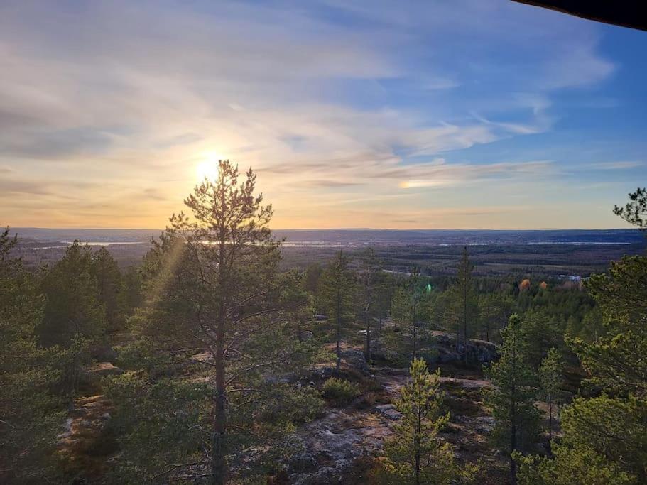 una vista de un bosque con el sol en el cielo en Two bedroom apartment right next to Santapark en Rovaniemi