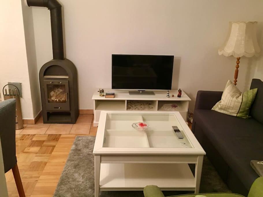 a living room with a couch and a tv and a fireplace at Ferienwohnung Struth-Helmershof in Struth-Helmershof