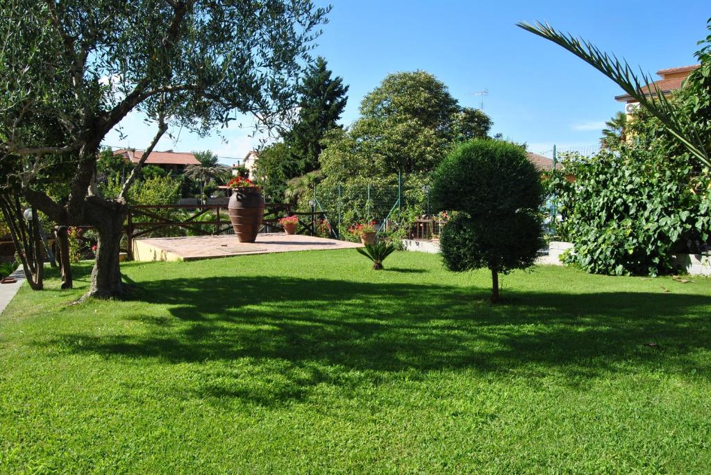 Zahrada ubytování Hotel Nespolo D'Oro