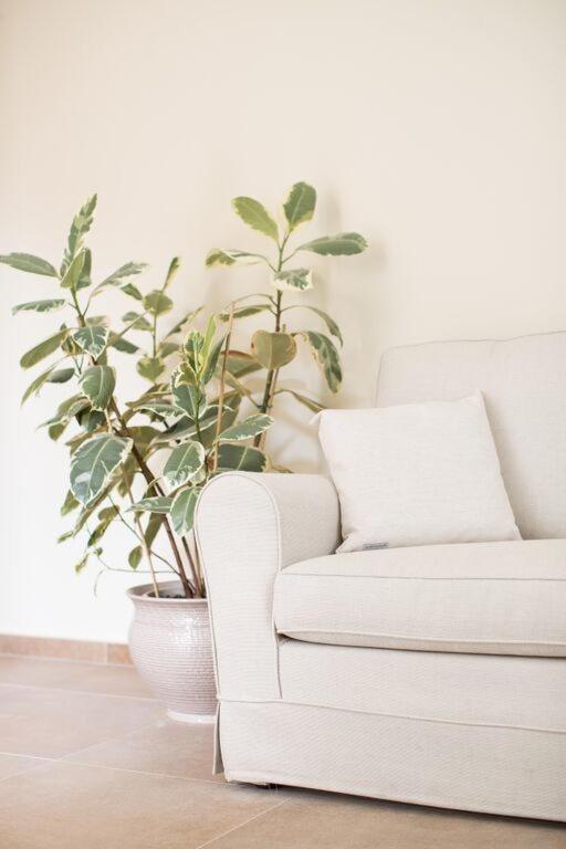 A seating area at Home by Massi