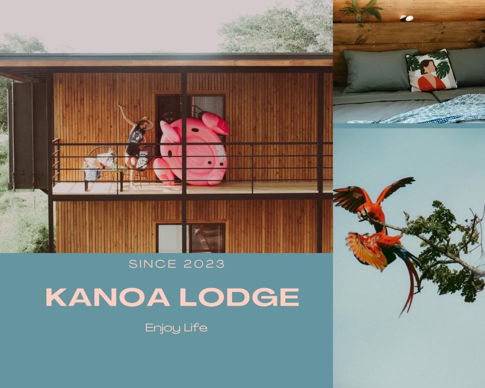 a collage of photos of a koala lodge at Kanoa Lodge - Adults and 13 plus only in Pavones