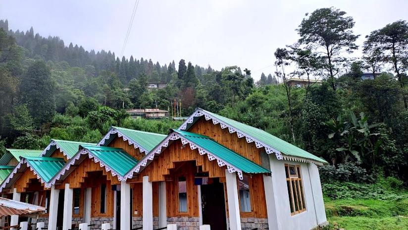 a small house with green roofs on a mountain at Eden Homestay Sittong in Kurseong
