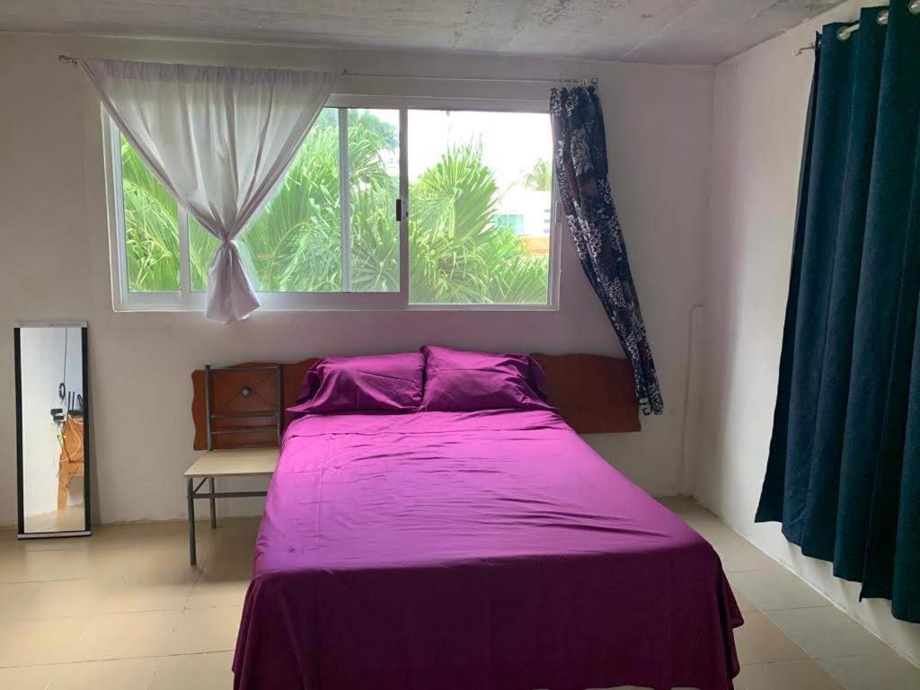 a bedroom with a purple bed and a window at Cozy apartment Av 5 one block from Lagoon in Bacalar