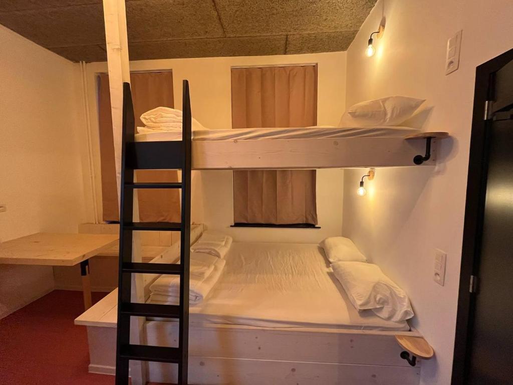 een kamer met 2 stapelbedden en een ladder bij BED Pepin in Namen