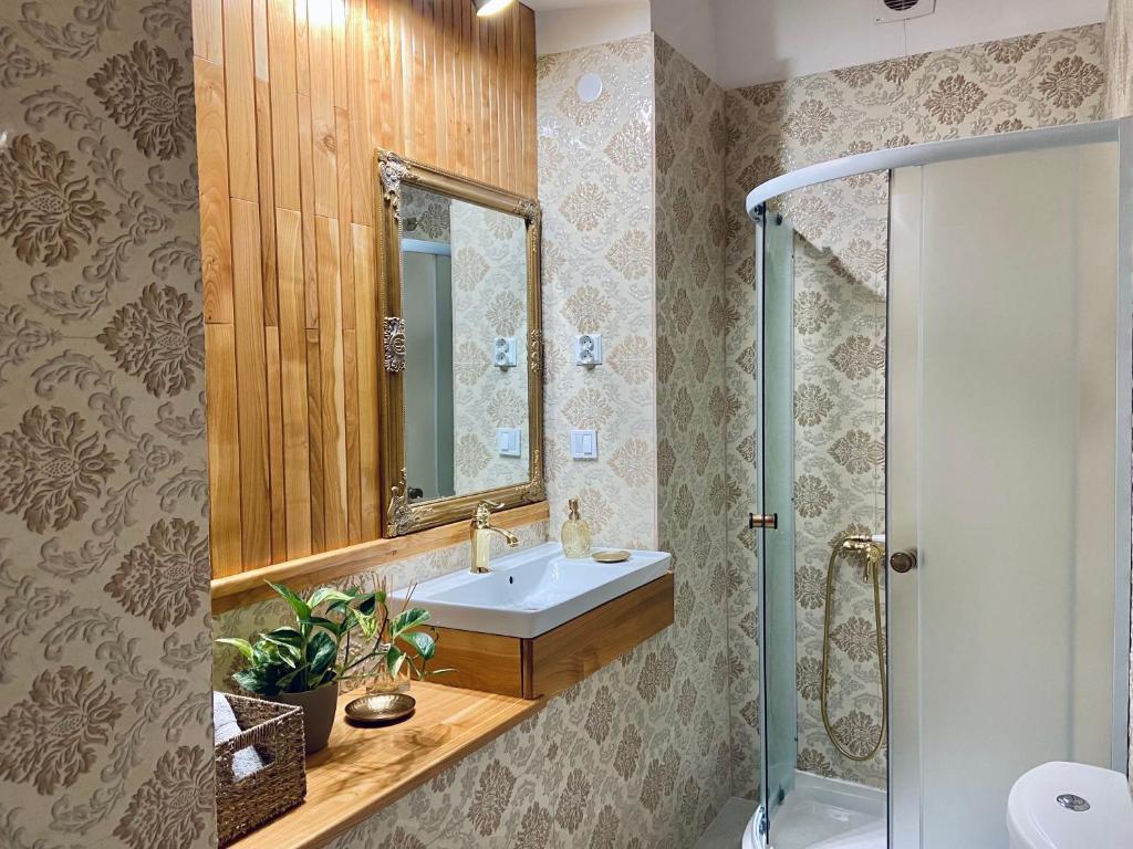 a bathroom with a sink and a shower at Zentrum Vintage Appartments in Braşov