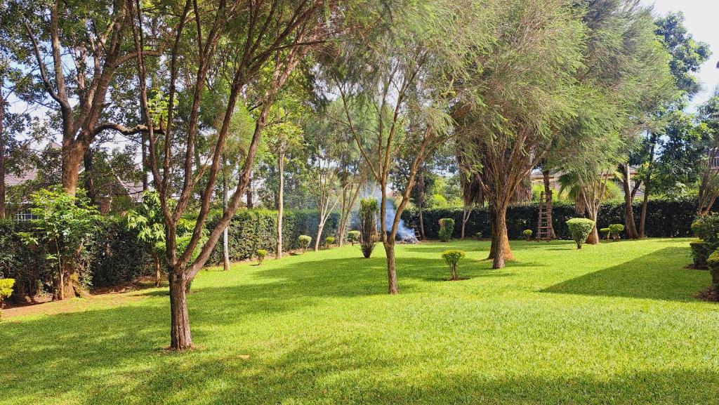 a green park with trees and green grass at Greenview Homes in Eldoret