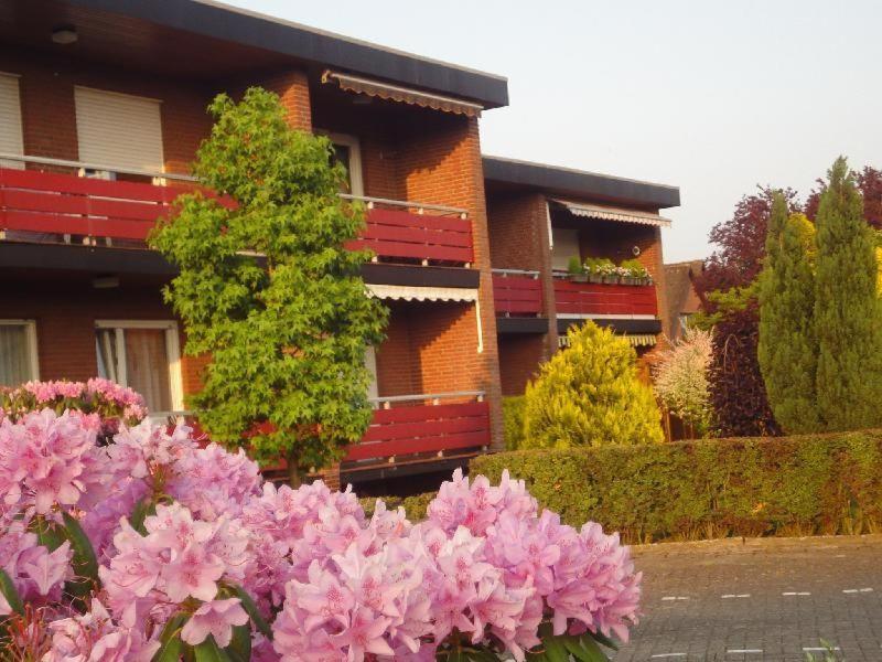 バート・ツヴィッシェンアーンにあるFewo-Hoeflich-Hermann-2の建物前のピンクの花束