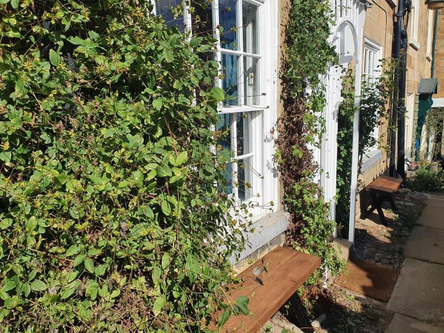 a bench sitting in front of a house with vines at Bramblewick Cottage in Robin Hood's Bay