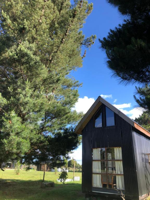 een zwart tiny house in een veld met bomen bij Tiny House, Tiny Black Frutillar in Frutillar