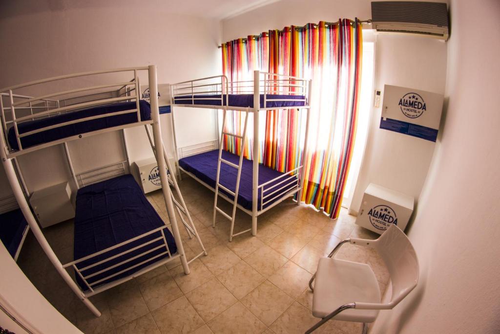 Cama ou camas em um quarto em Alameda Hostel