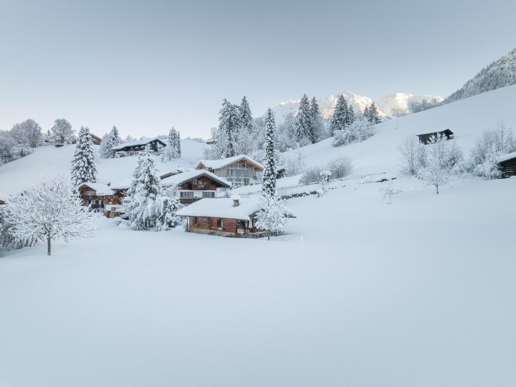 Haus Bergheimat - Appartamento Con Terrazza