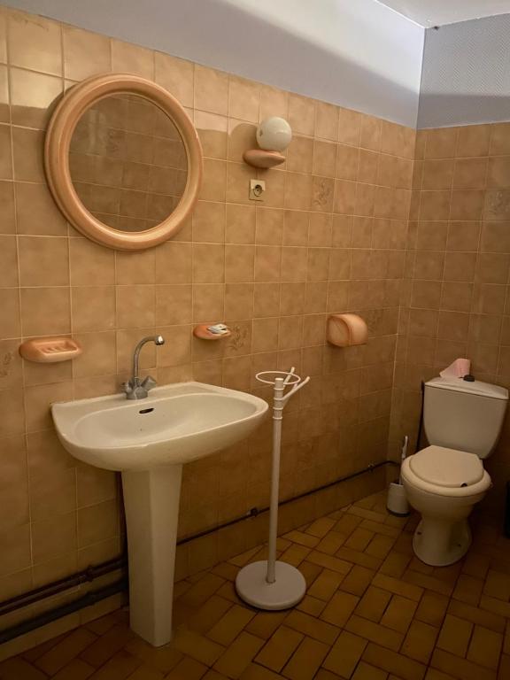 Kúpeľňa v ubytovaní Gîtes De La Levée