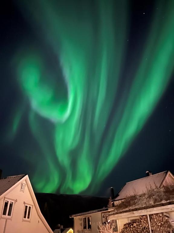 an image of the aurora borealis in the sky over houses at Sentralt plassert leilighet ved Sherpatrappen in Tromsø