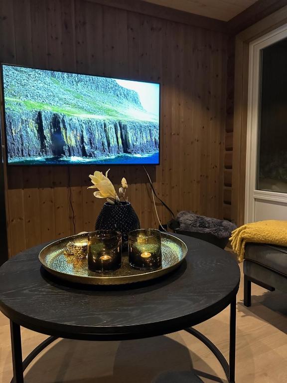 TV a/nebo společenská místnost v ubytování Årebjørnen - Sadelen