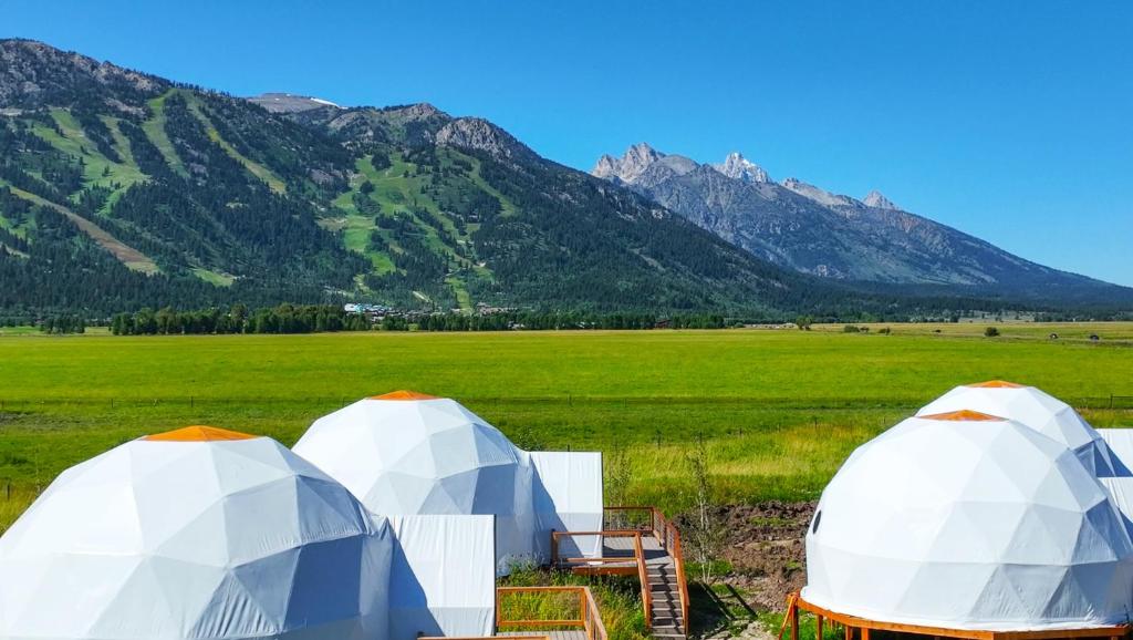 three tents in a field with mountains in the background at Tammah Jackson Hole in Wilson