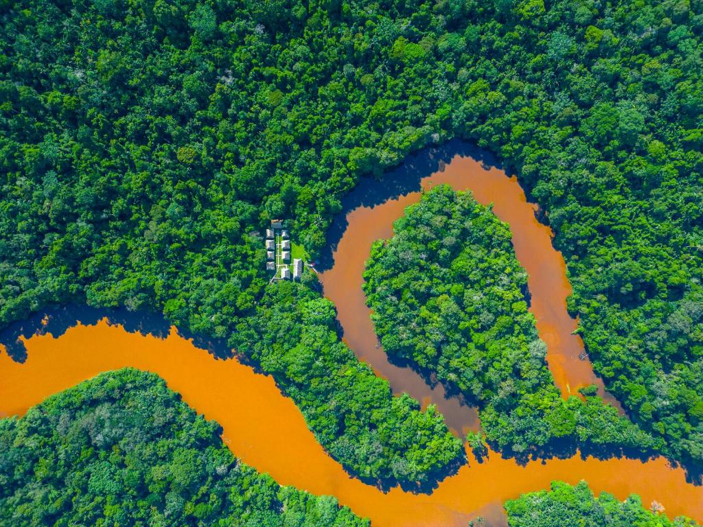 una vista aerea su un fiume e sulle foreste di Waita Lodge a Cuyavenus