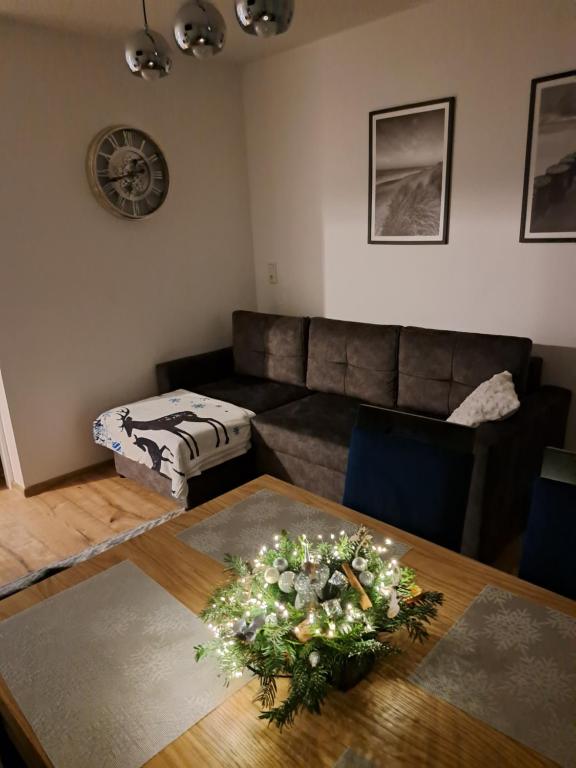 SOLEK, Apartamenty hotelowe i pokoje gościnne ze śniadaniem, przyjazne zwierzętom, wyjątkowe, z widokiem na Jezioro Jamno i w bardzo bliskiej odległości od morza - 5