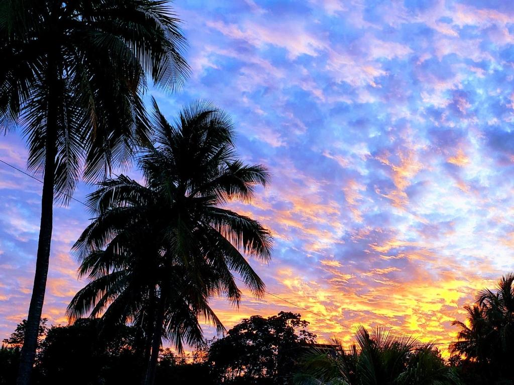 two palm trees in front of a sunset at Estrela Antônia - Praia de Santo Antônio in Matta de São João