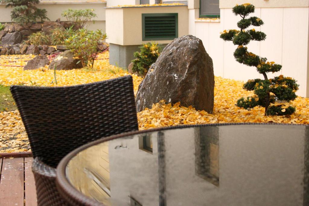 Fotografie z fotogalerie ubytování Hotel Ginkgo v destinaci Hódmezövásárhely