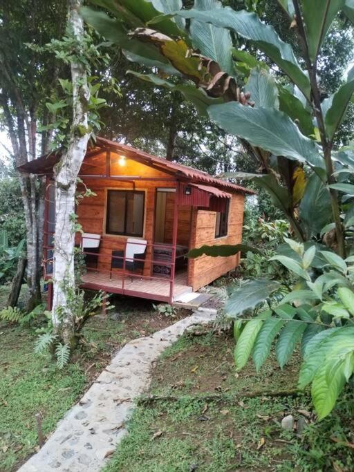 een kleine houten hut in een bos met bomen bij Cabaña FuenteSol - zona verde, piscina, salón in Turrialba