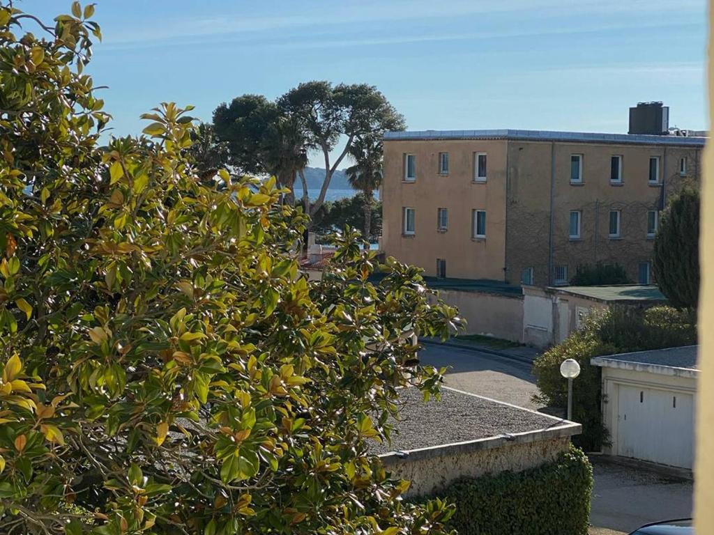 - une vue sur un bâtiment depuis un arbre dans l'établissement Appartement Cosy à 10m de la Plage - Tout Équipé, Parking Gratuit, 4 Pers. - FR-1-770-12, à La Ciotat