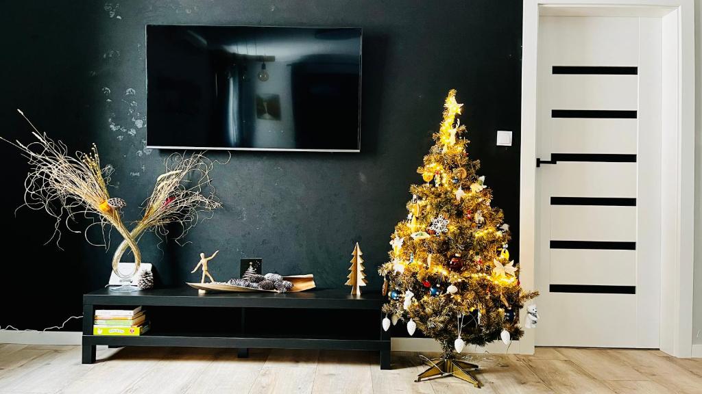 Televízia a/alebo spoločenská miestnosť v ubytovaní Apartamenty Czarna Perła