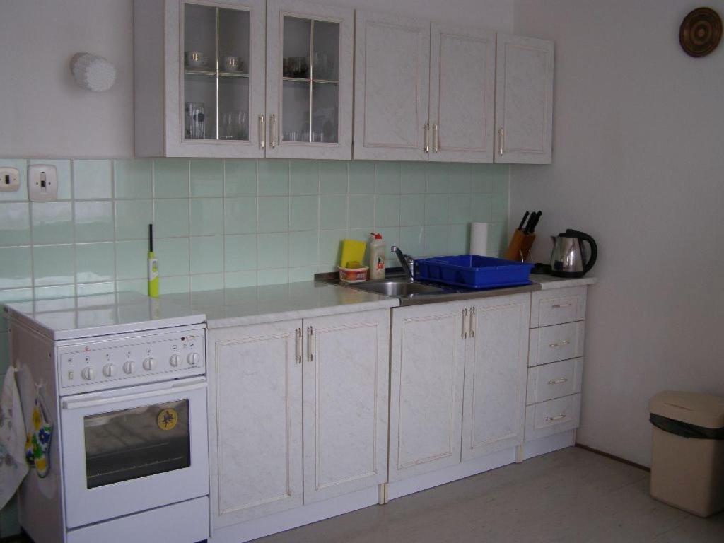 Kuchyň nebo kuchyňský kout v ubytování Apartment Vysocina